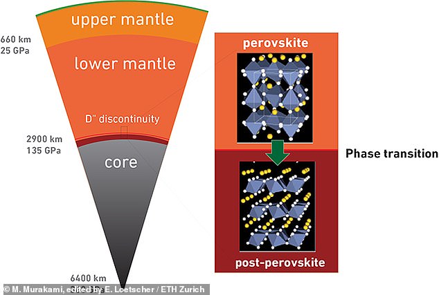 This discovery came as researchers tried to figure out why seismic waves sped up when they hit a layer called the D" discontinuity. At this depth, perovskite, the most common mineral in the lower mantle is crushed into a new mineral called post-perovskite