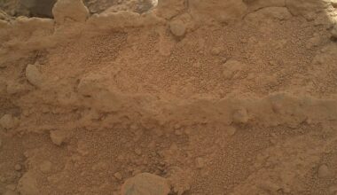 A photo taken by NASA's Curiosity rover has sparked speculation after appearing to capture a mushroom growing on the Red Planet