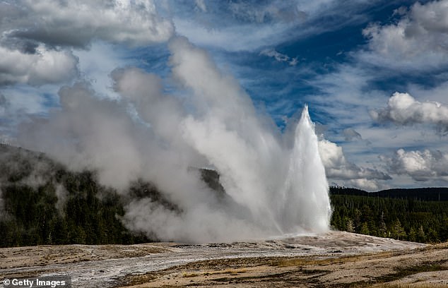 Mantle plumes are usually detected because they produce volcanic activity, just like in Yellowstone National Park (pictured). But the ghost plume in Oman had remained hidden because it does not produce volcanic activity