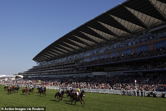 Miss Information claimed top honours in the Kensington Palace Stakes on Wednesday evening