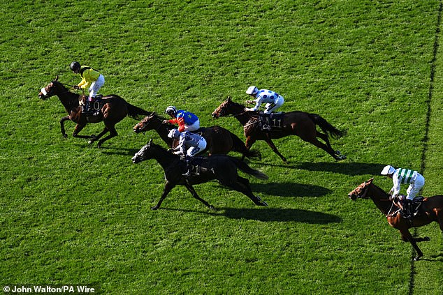 Rainbows edge was a spent force with two furlongs to run and faded out of contention