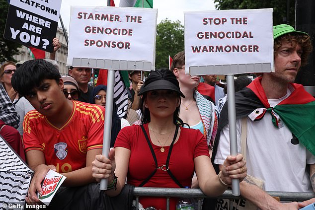 Demonstrators hold Palestinian flags and placards during the protest
