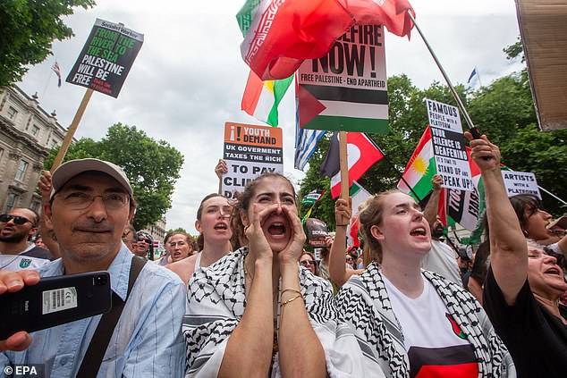 Flags and placards are waved up during the protests filling the streets of the capital