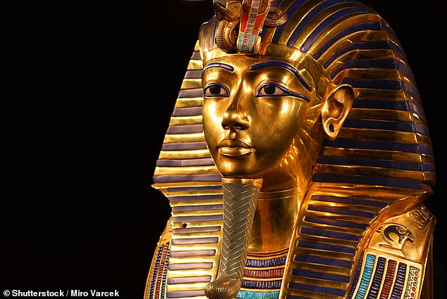 Aspergillus flavus has been nicknamed the 'pharaohs' curse' after researchers studying the tombs of ancient kings over the past several decades have suddenly been struck by deadly respiratory issues