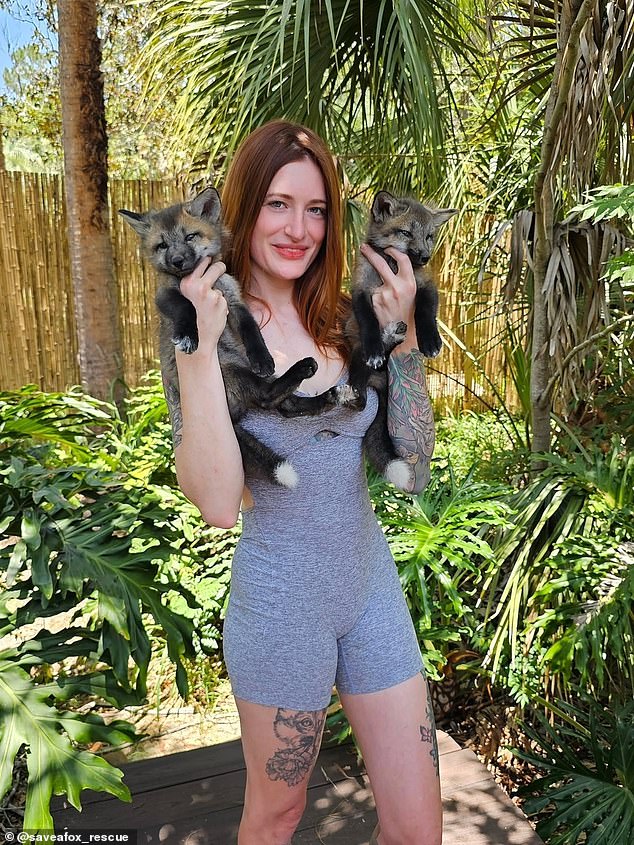 Raines is best known for her nonprofit Save A Fox, which has locations in Florida and her home state of Minnesota