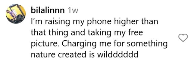 Those who've seen images of the turnstile shared on social media said it was 'wild' that people were being asked to pay for a natural view