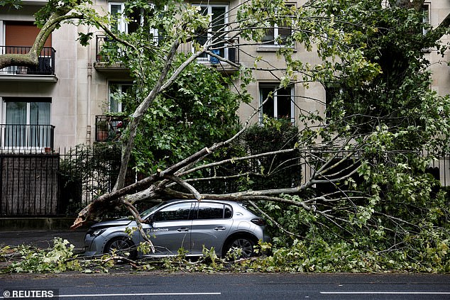 FRANCE: Two people were killed yesterday and 17 more were injured during a deadly torrential storm in France. Pictured: A view of broken tree branches on a damaged car in a street the day after a heavy storm hit Paris