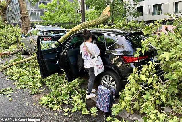 FRANCE: A woman checks on a car damaged by a fallen tree