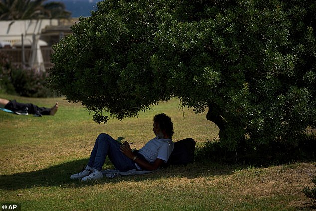 SPAIN: A man writes in the shade of a tree during high temperatures in Barcelona on Friday