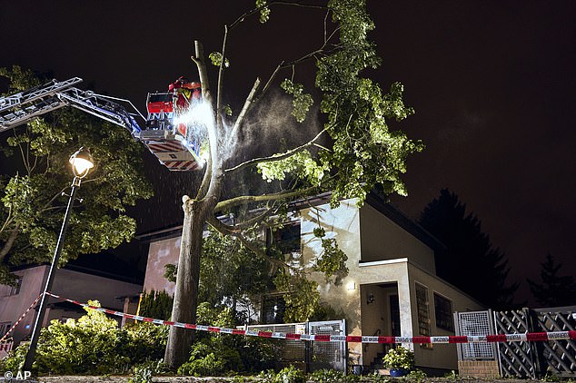 GERMANY: Firefighters work on a tree that partially fell onto a house after a storm in Berlin