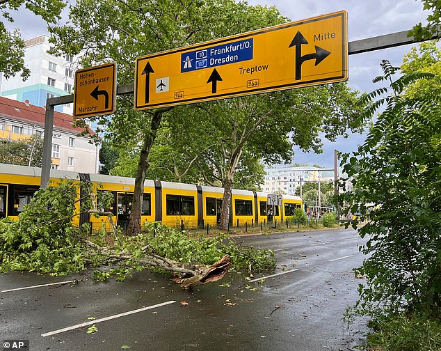 GERMANY: Branches lie on the street after a storm in the Prenzlauer Berg district, in Berlin