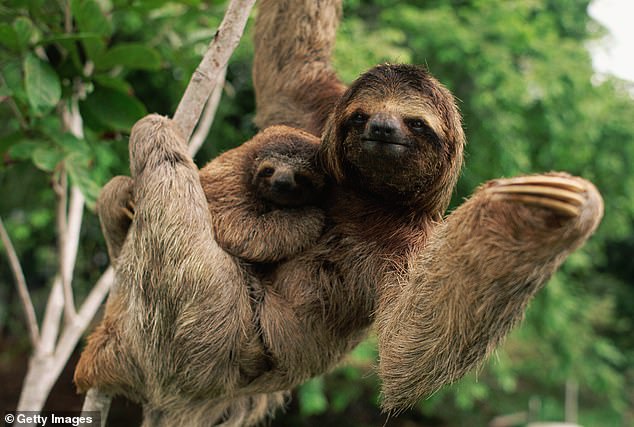 On a trip to Costa Rica, she stayed in a jungle lodge in the middle of nowhere and found herself in a hairy situation after failing to make preparations for her transport back to civilisation
