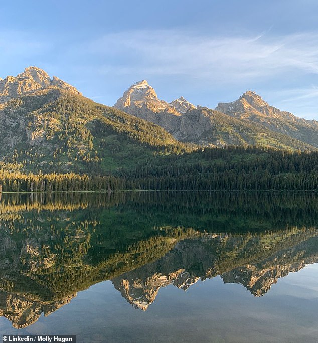 Earlier this month, on the roads of Grand Teton National Park - a nearly 310,000-acre expanse with 40 miles of rugged Rocky Mountain peaks (pictured) - traffic came to a standstill in what park regulars dubbed a 'very large animal jam'