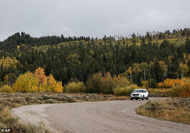 Most rangers and ecologists in the Greater Yellowstone Ecosystem agree that bear spray is essential for anyone traveling in grizzly country (pictured: road east of Grand Teton National Park)