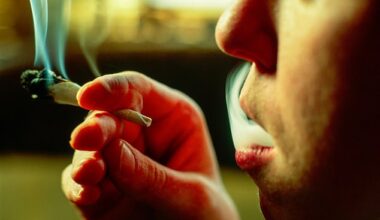 More than a quarter of police and crime commissioners have written to the policing minister calling for cannabis to be upgraded to a class A substance (file pic)