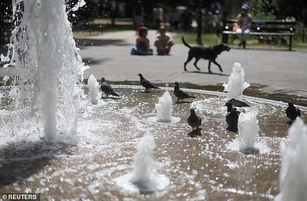 LONDON -- Pigeons bathe in a fountain in Russell Square as temperatures continue to rise
