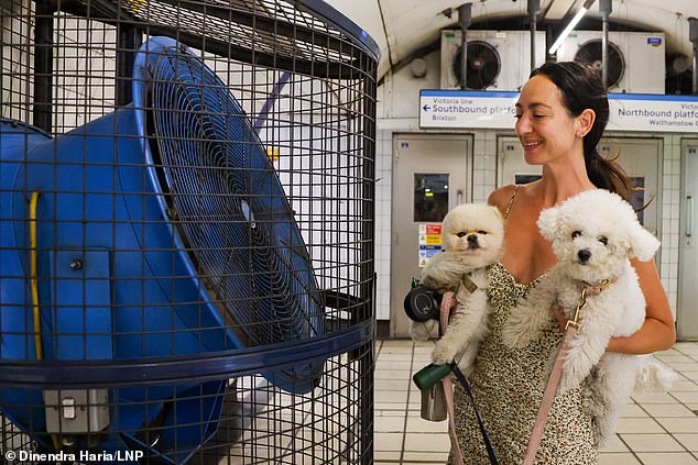 A woman cools off her dogs in front of a large fan at a London Underground station