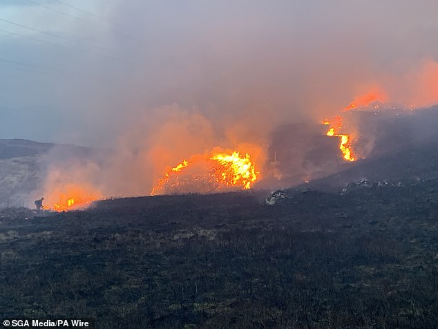 A gamekeeper using a leafblower at a wildfire in Scotland