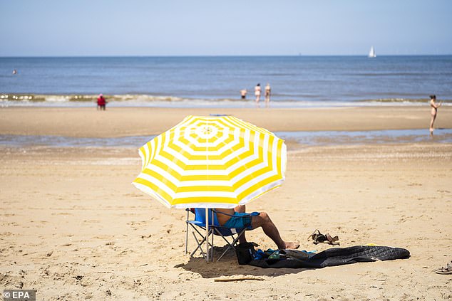 One man sits under an umbrella to protect himself from the sun in the Hague, the Netherlands