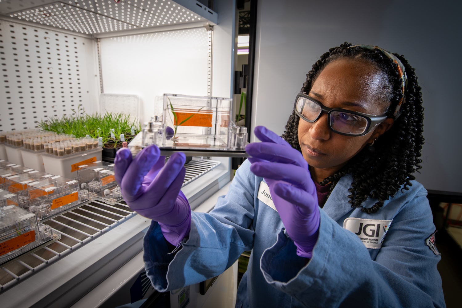 Advancing the Frontiers of Genetic Science at the Joint Genome Institute – Berkeley Lab News Center