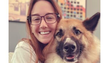 In stressful times, are we making our pets anxious? Causes and cures for pet anxiety