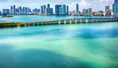 A rare shark is seeking refuge in Miami's Biscayne Bay. Here's why scientists just spent 8 years tracking it