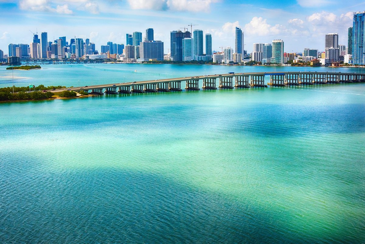 A rare shark is seeking refuge in Miami's Biscayne Bay. Here's why scientists just spent 8 years tracking it