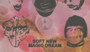 Black Moth Super Rainbow: Soft New Magic Dream Album Review