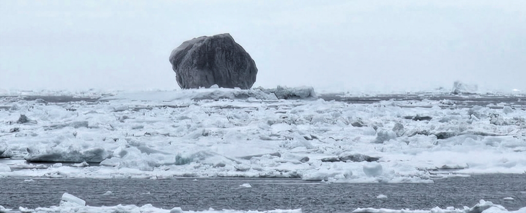 Rare Black Iceberg Goes Viral – So What Is Going on Here? : ScienceAlert
