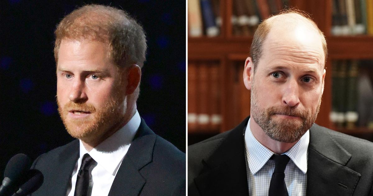 Prince William and Prince Harry Feud: Which Stars Support Each?