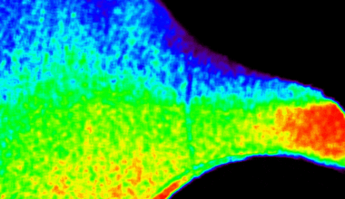 An animated image shows a large, curved area with a rainbow of colors transitioning from red to purple over the course of several seconds. Red, orange, and yellow predominate the bottom of the image when green, blue, and purple are at their lowest coverage. Conversely green, blue, and purple predominate the top of the image when red, orange, and yellow are at their lowest coverage.