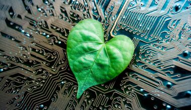 2024/09/third-state-life-death_anthrobot_xenobot_living-machine_cellular-organism_credit-Tufts-NIJT_1m.jpg