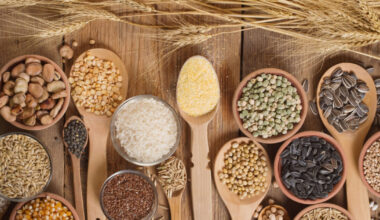 EU oilseed and cereal export values plunge