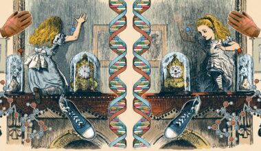 How the Universe and Its Mirrored Version Are Different