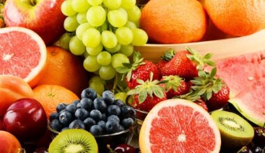 New genetically modified fruit fly model sheds light on cocaine addiction
