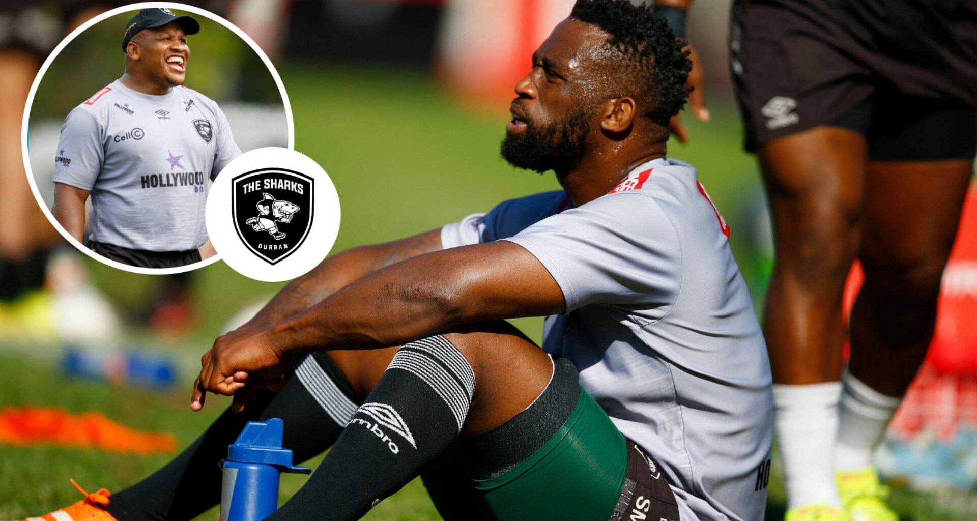 Sharks player ratings: Springbok veteran 'mare' and Hendrikse struggles : Planet Rugby