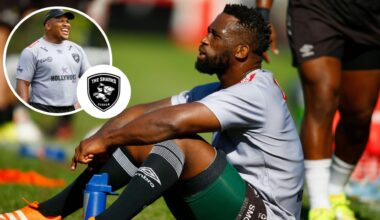 Sharks player ratings: Springbok veteran 'mare' and Hendrikse struggles : Planet Rugby