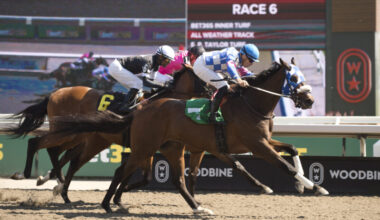 Watsonville Red and jockey Leo Salles winning Race 6 on May 16, 2025 at Woodbine (Michael Burns Photo)