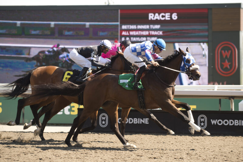 Watsonville Red and jockey Leo Salles winning Race 6 on May 16, 2025 at Woodbine (Michael Burns Photo)