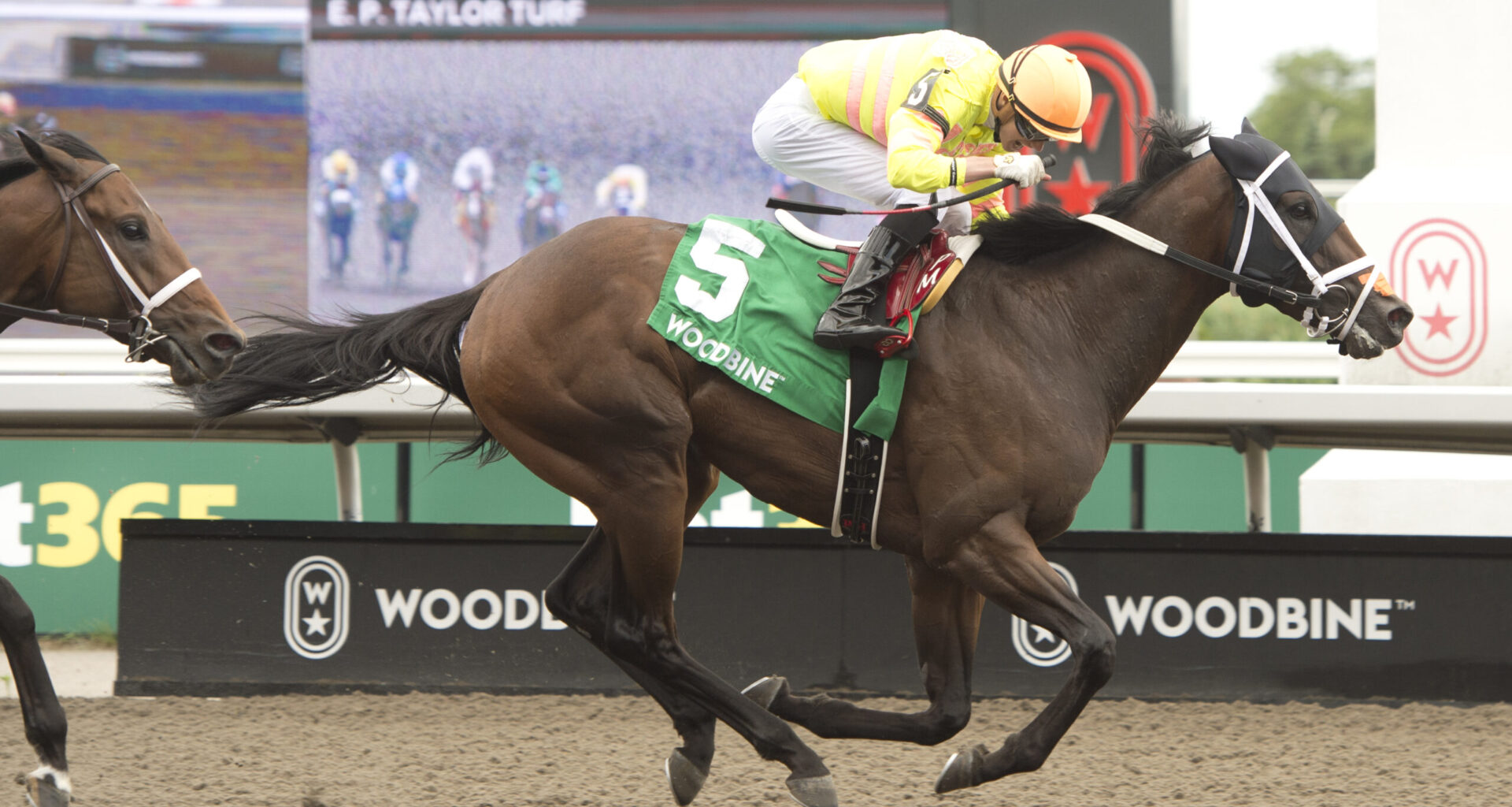 Mansetti powers to Grade 3 HPIbet Marine score