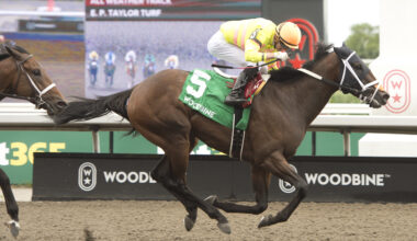 Mansetti powers to Grade 3 HPIbet Marine score