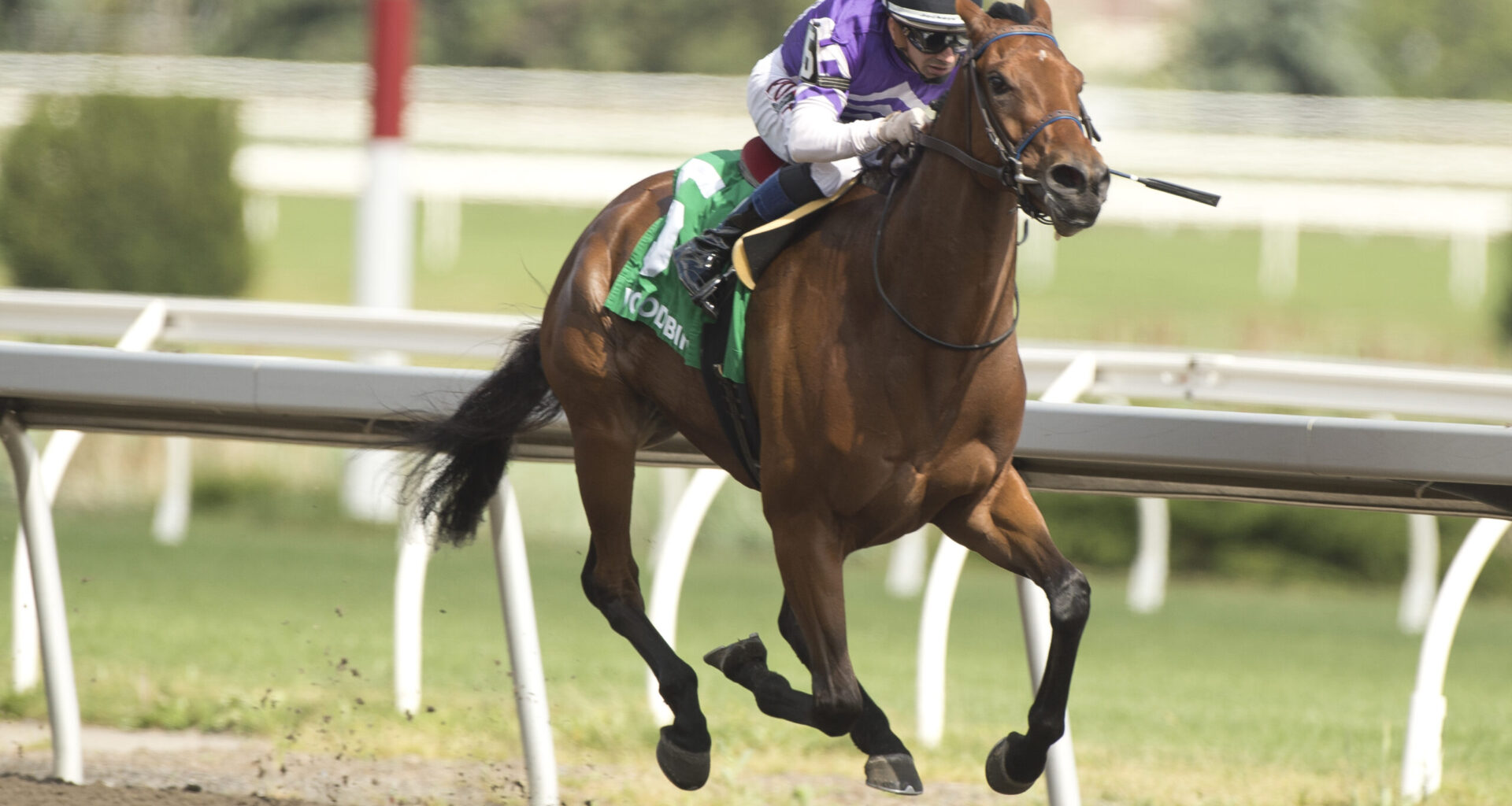Serendipity strolls to Grade 3 Selene score