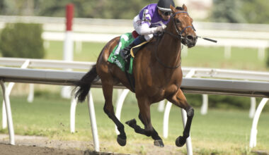 Serendipity strolls to Grade 3 Selene score