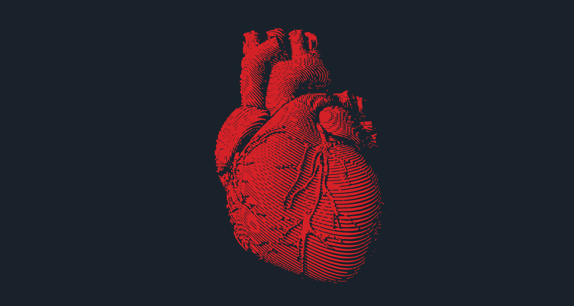 An illustration of a red human heart on a black background