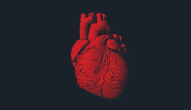 An illustration of a red human heart on a black background