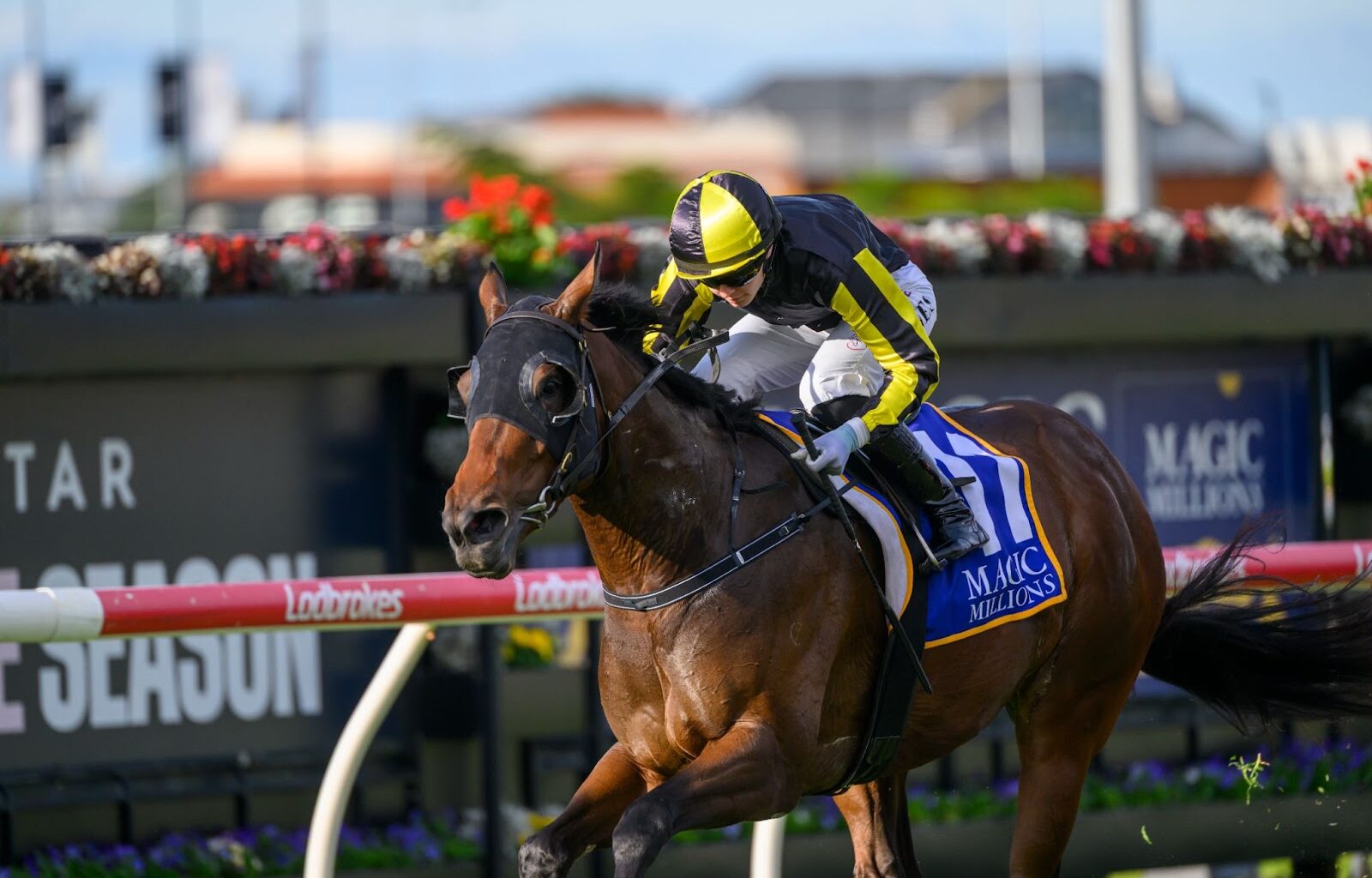 Dane Ripper Stakes 2025 winner Floozie, photo by Michael McInally-Racing Queensland