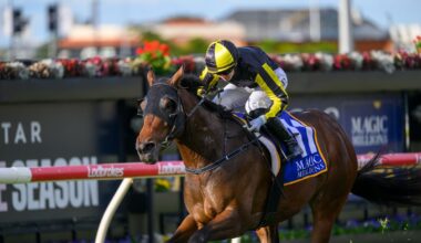 Dane Ripper Stakes 2025 winner Floozie, photo by Michael McInally-Racing Queensland