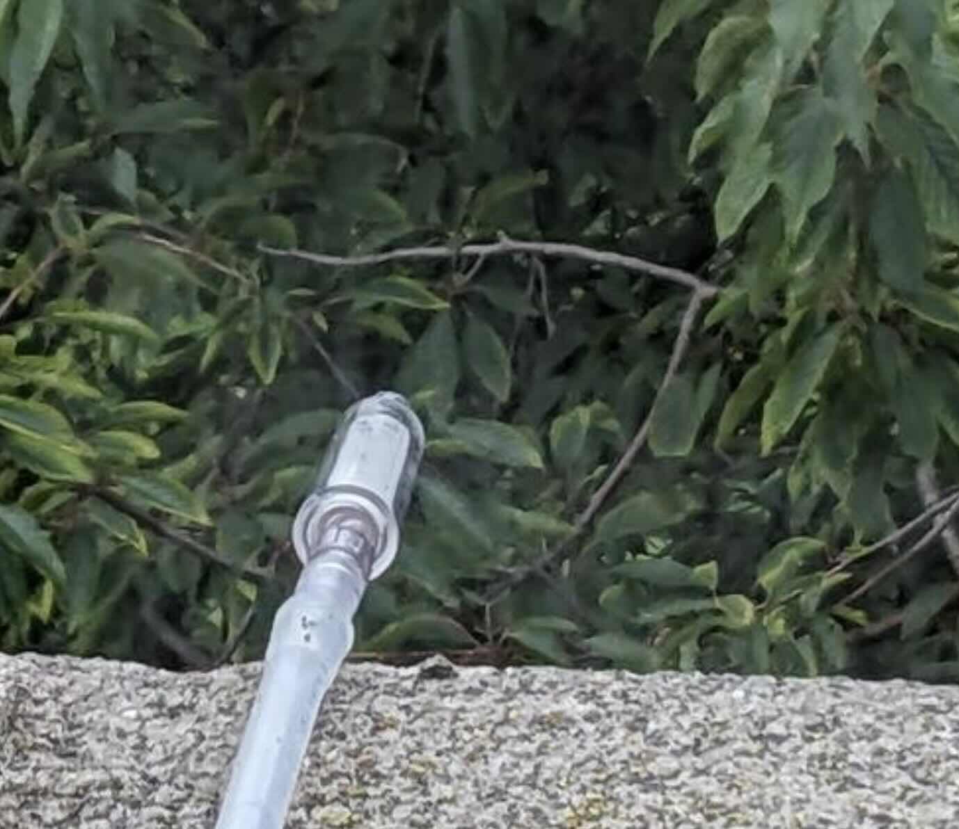Environmental DNA