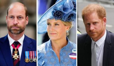 Duchess Sophie's Response to Prince William & Harry's feud