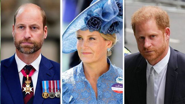 Duchess Sophie's Response to Prince William & Harry's feud